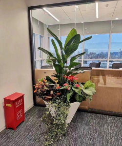 租摆服务属于什么服务