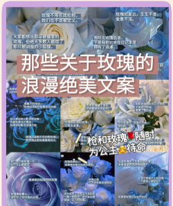 养花文案恋爱 养花文案恋爱