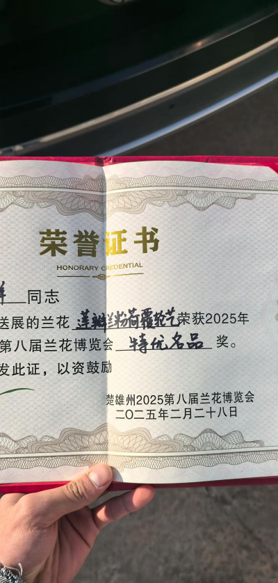 最会养花奖状