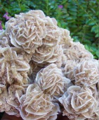 沙漠玫瑰石头怎么找