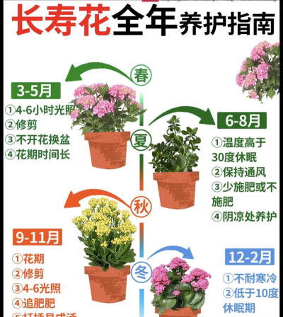 顶级养花顺序