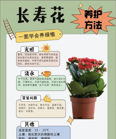 如何让花长得快