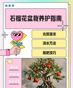 如何让石榴多开花