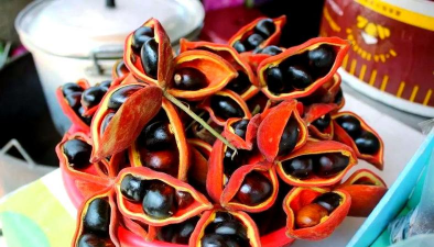 萍婆果是什么味道