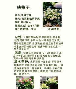 铁筷子花怎么施肥