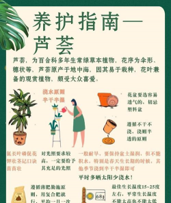 芦荟怎么养养殖方法