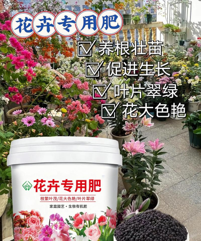 户外种植的花上什么肥 户外种植的花上什么肥