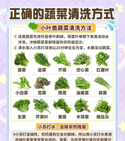 蔬菜店怎么保养菜