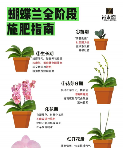 养花施肥规律 养花施肥规律