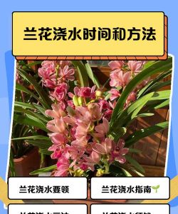 用什么浇花花期更长