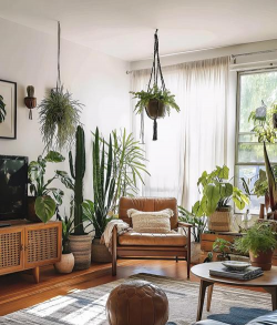 原木风养花 原木风养花