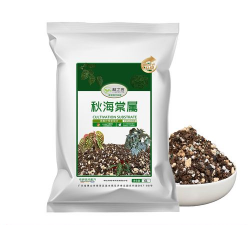 观叶海棠用什么土