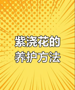 娇娇怎么养花
