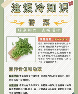 养盆香菜有什么好处
