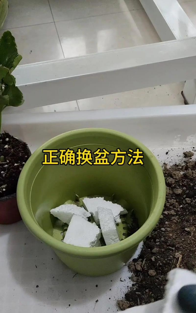 懒人花盆怎么用土