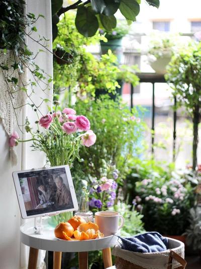 周末时光养养花 周末时光养养花