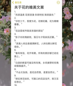养花鲜花文案简短