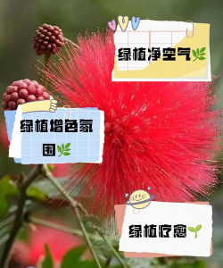 养花换气啥意思 养花换气啥意思