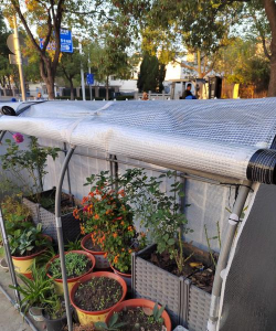 防雨棚养花专用