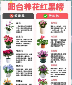 新花友养花建议 新花友养花建议