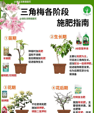 养花避免施肥技巧