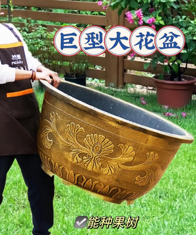 养花专用大盆子