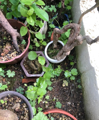 养花沙盘怎么使用