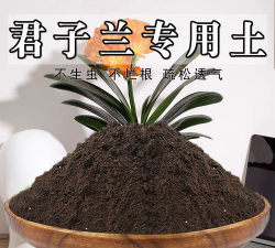 室内酸性养花土