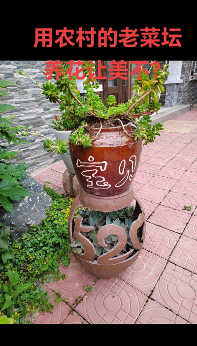 坛子养花好看吗