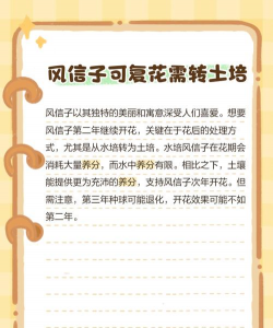 如何保存风信子