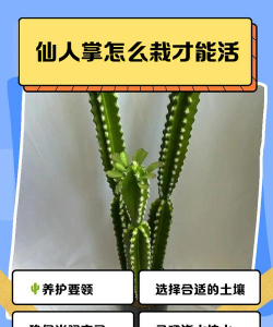 怎么才可以是仙人