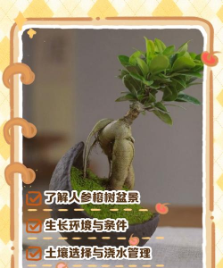 榕树怎么养最好养