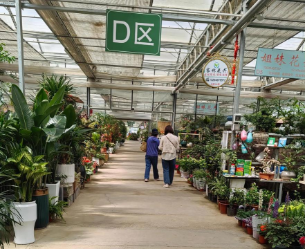 花卉市场怎么经营