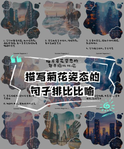 养花对比文案句子