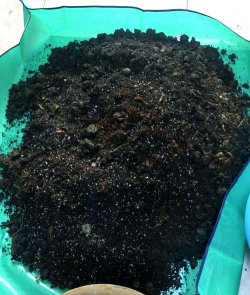 室内酸性养花土