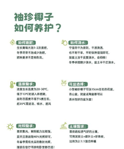 袖珍椰子怎么多发芽 袖珍椰子怎么多发芽