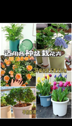 透气花盆养花用