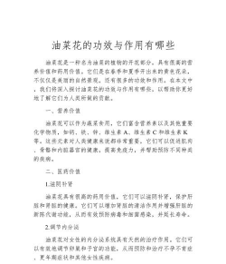 油菜花有什么功能